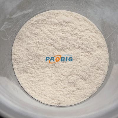 Xanthan Gum Powder for Personal Care